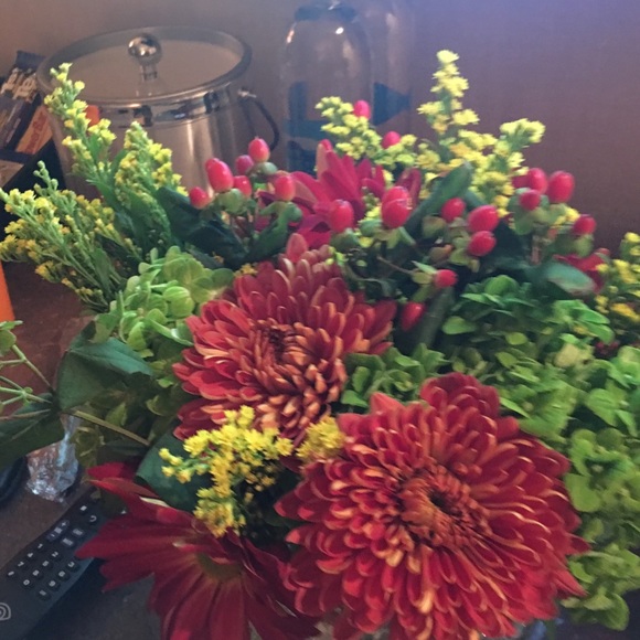 Meet your Posher, Joy - Picture 1 of 1